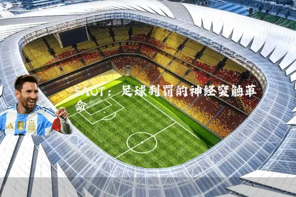 SAOT：足球判罚的神经突触革命